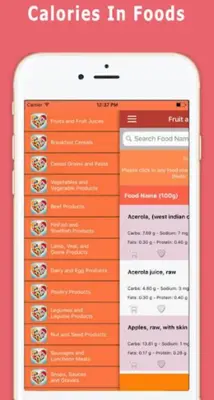 Calories In Foods android App screenshot 4